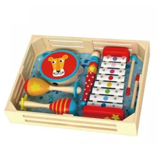 Brinquedos musicais - Xilofone, Pandeiro, Triangulo, Maracas para divertir e estimular o gosto por musica.